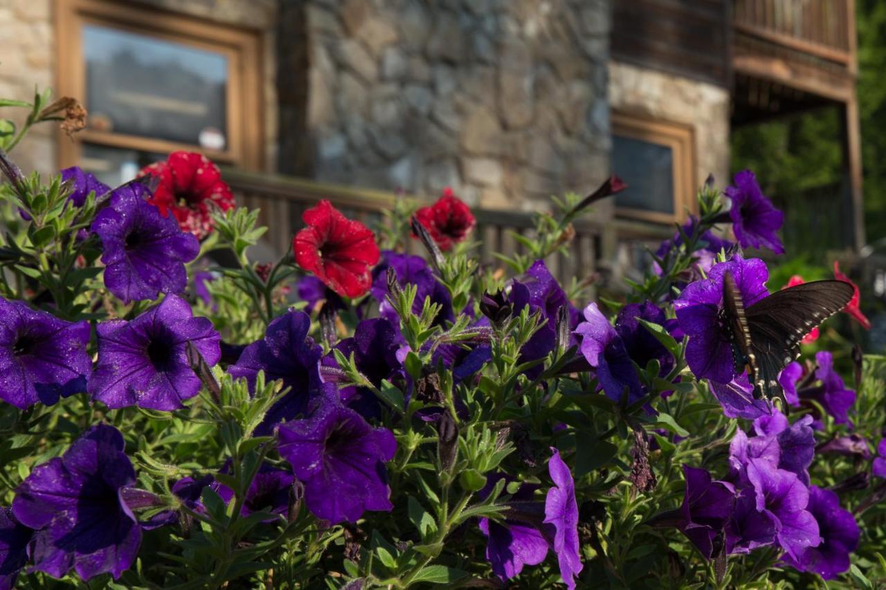 Springmaid Mountain Βίλα Spruce Pine Εξωτερικό φωτογραφία